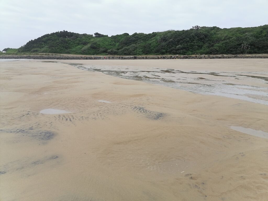 Wild Coast shoreline and coastal vegetation in the Eastern Cape